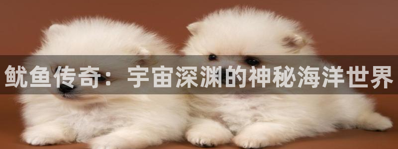 鱿鱼传奇：宇宙深渊的神秘海洋世界