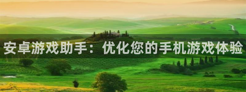 安卓游戏助手：优化您的手机游戏体验