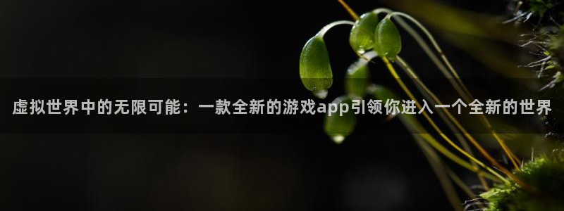 雷火竞技官方网站入口网址是多少：虚拟世界中的无限可能：一款全
