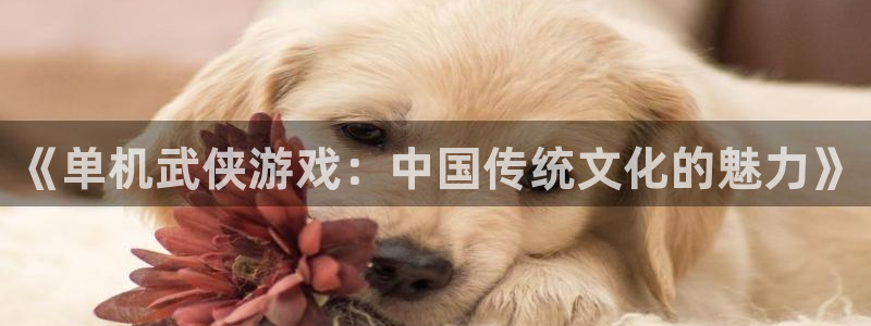 雷火竞技在线官网进入：《单机武侠游戏：中国传统文化的魅力》