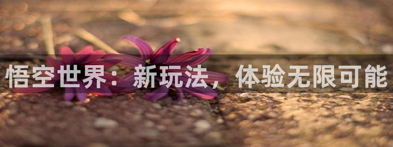 雷火竞技电竞官网入口在哪