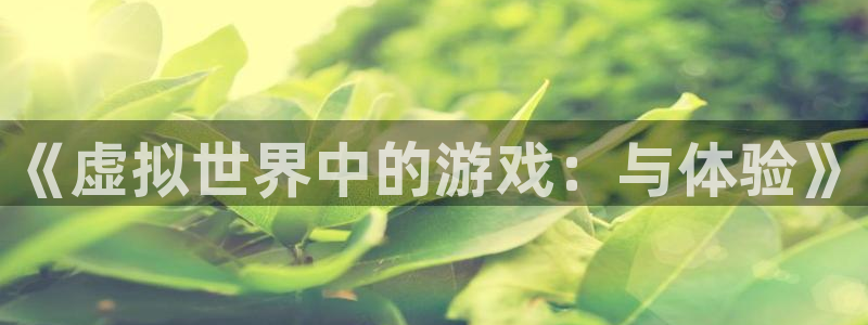 雷火竞技竞猜在线官网：《虚拟世界中的游戏：与体验》