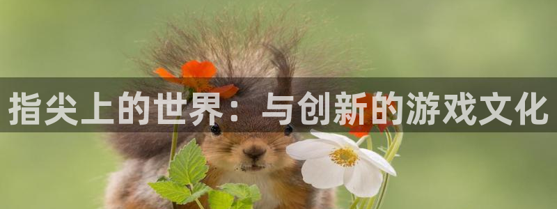 雷火竞技平台怎么样：指尖上的世界：与创新的游戏文化