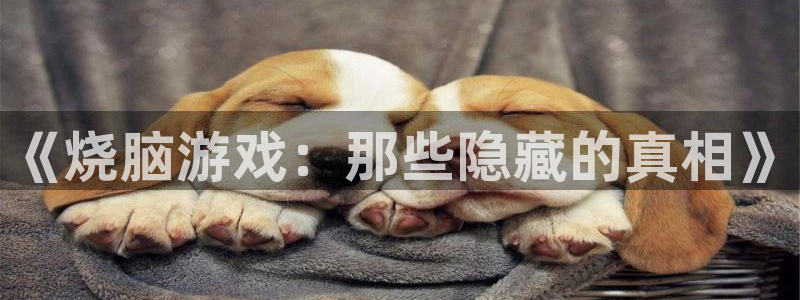 雷火竞技官方：《烧脑游戏：那些隐藏的真相》