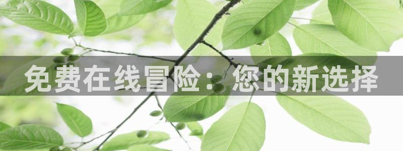 雷火竞技app官网客服：免费在线冒险：您的新选择